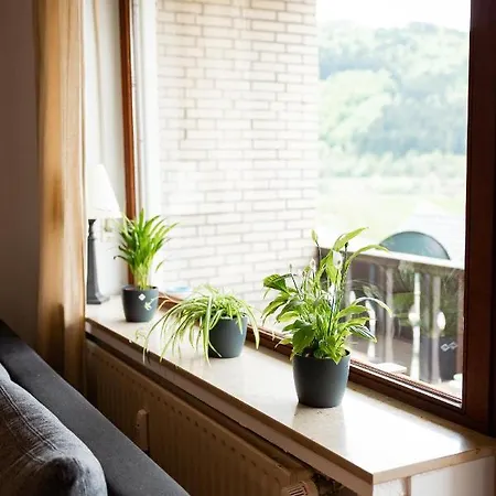 Apartment Mit Seeblick — Sport Und Erholung Winterberg