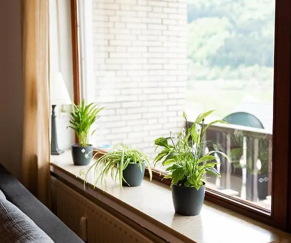 アパート Mit Seeblick — Sport Und Erholung ヴィンターベルク